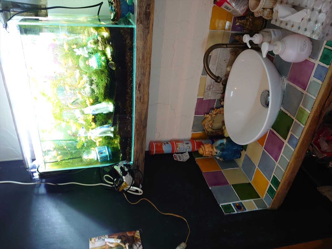 IMG_20250111_163855_R