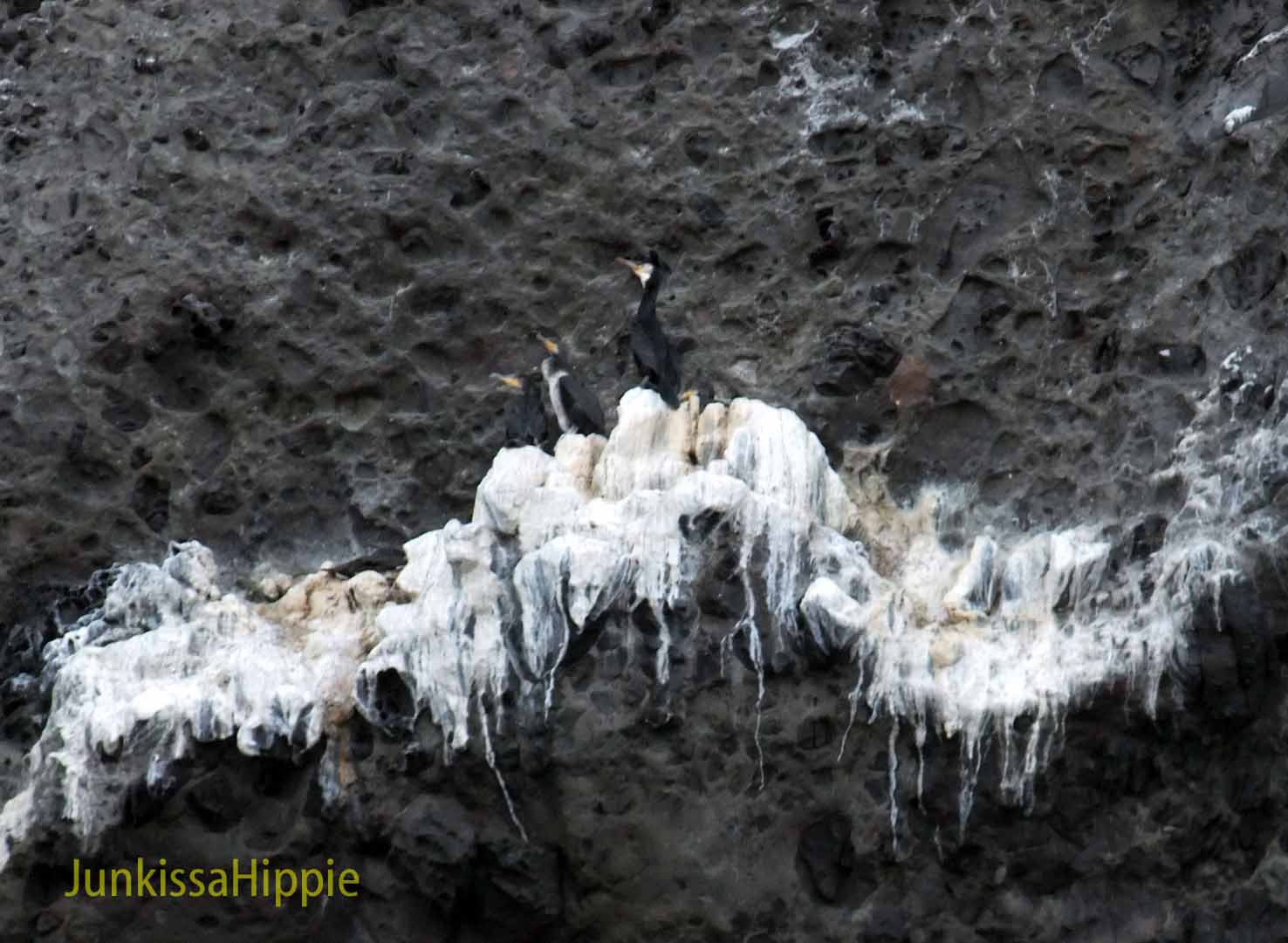DSCF2454
