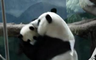 ����������