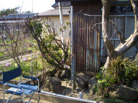イメージ 1