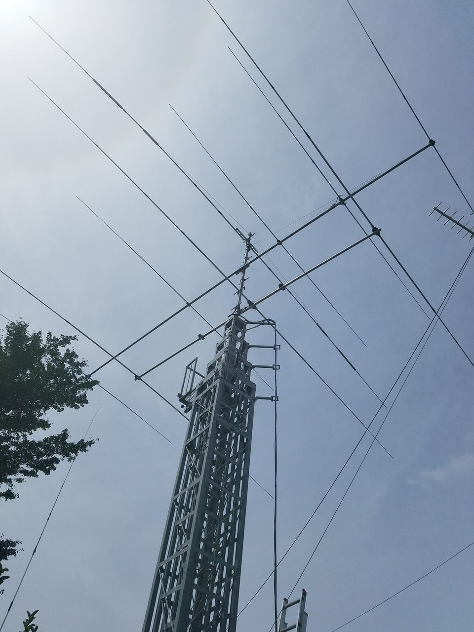 イメージ 11