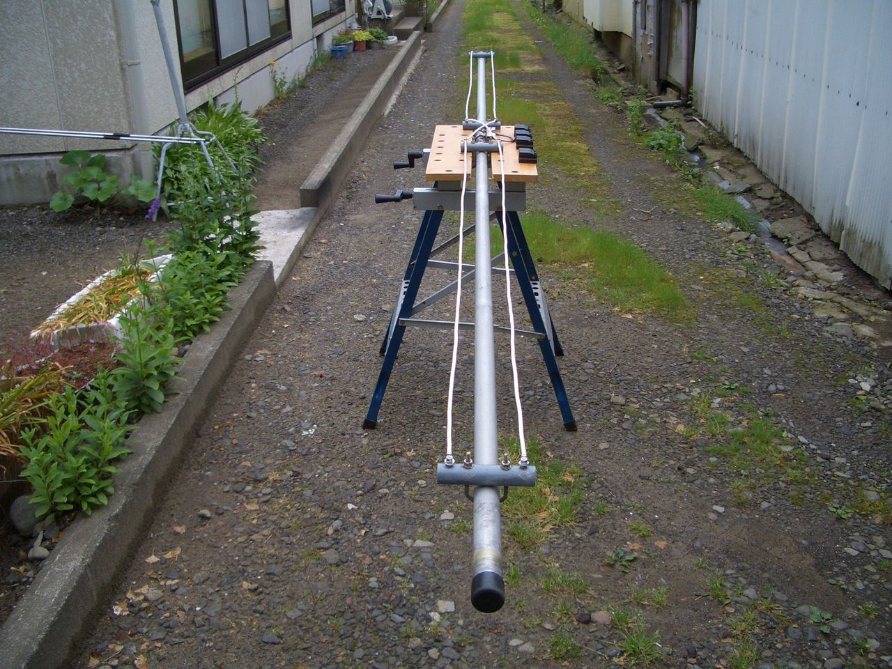 イメージ 16