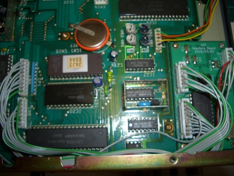 CIMG8051
