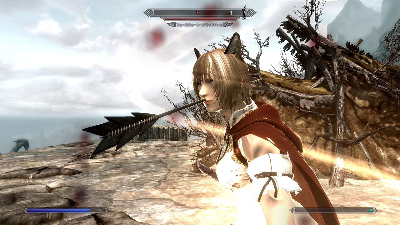 Skyrim Pc初心者的ckの楽しみ方 青歴史なブログ Skyrim Pc初心者的ckの楽しみ方 青歴史なブログ