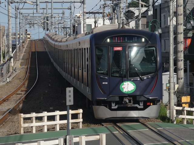 P2440538_R