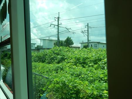 イメージ 14