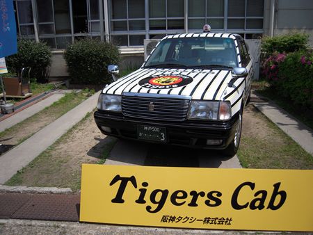 イメージ 8