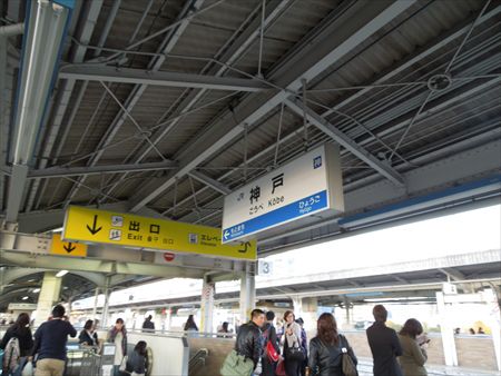 イメージ 8