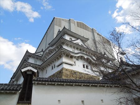 イメージ 2