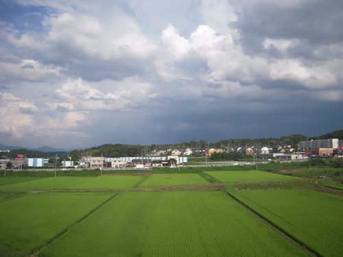 イメージ 8