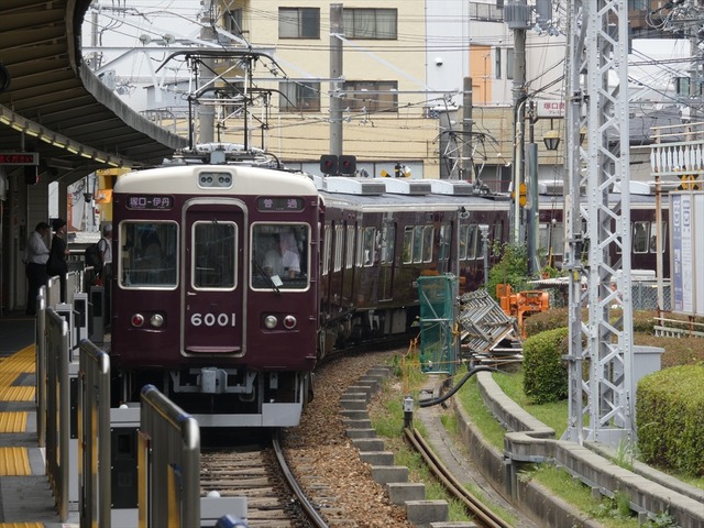 P2240204_R