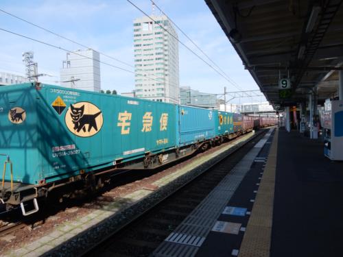 DSCN7864_R