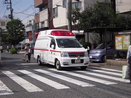 イメージ 7