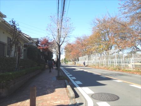 イメージ 4