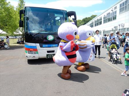 イメージ 8