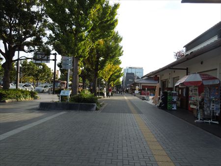 イメージ 2