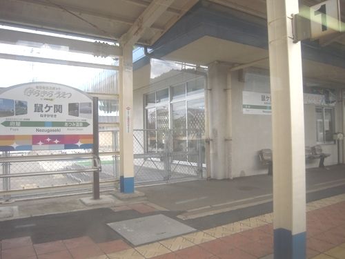イメージ 5