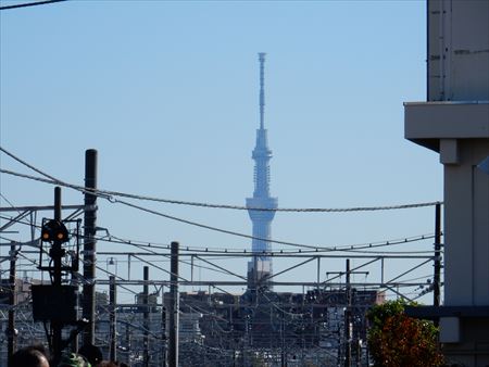 イメージ 15