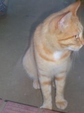 1���֤֤�˵��äƤ�������