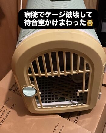 2025-07-27_13-29-09_794