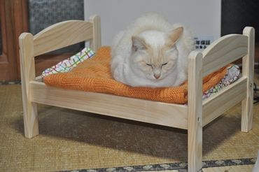 tubahako