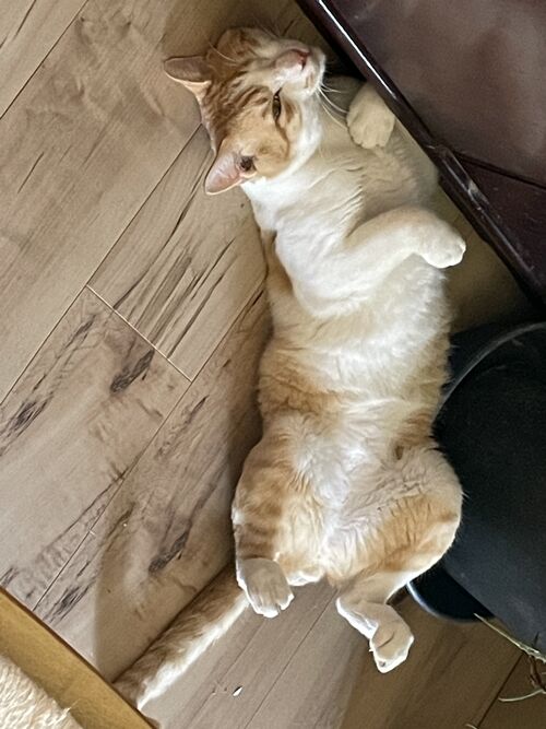 2025-07-27_13-02-59_089