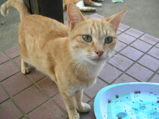 10 ������ 030