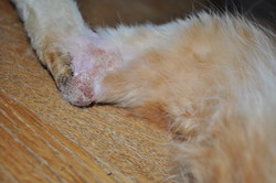 5 ���Ƥΰ���� 017