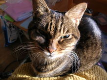 12����ڼ��޻� 011