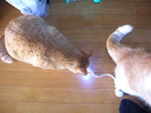 12����ڼ��޻� 028