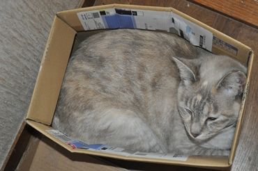 beru