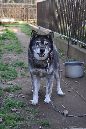 DSC_0008a