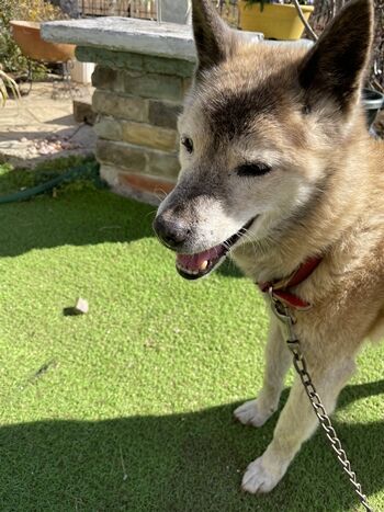 2025-02-10_13-32-20_971