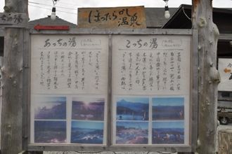 5ほったらかし 011