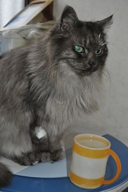 DSC_0104a