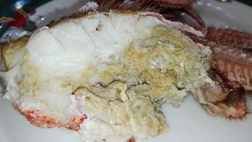 miso500