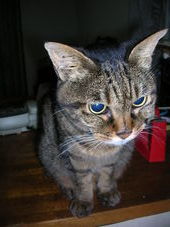 2008_06252006autum��20070004