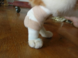 2010������������ 037