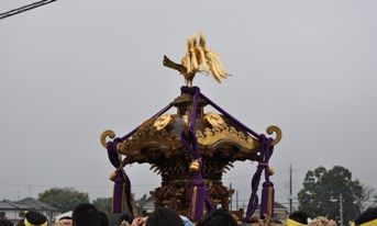 mikosi