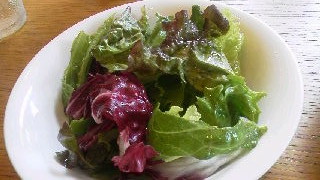 オステリアサラダ