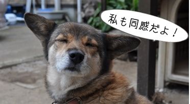 あDSC_0131a