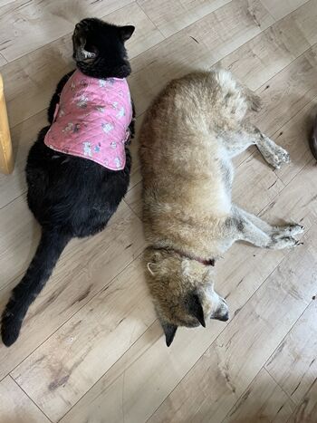 2025-07-15_10-33-55_863