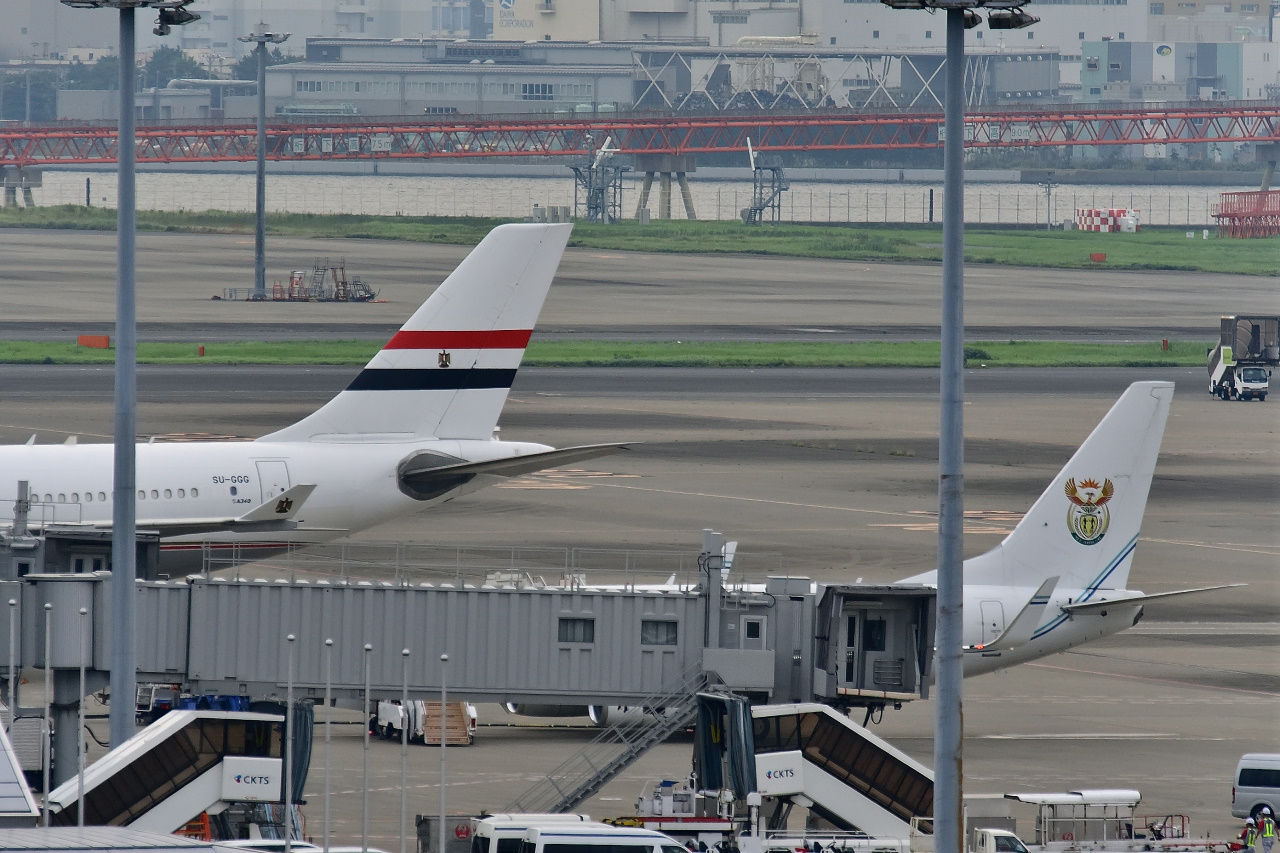 俺の航空機撮影記neo
エジプト政府専用機と日本国政府専用機を撮ったぜ!!!
コメント