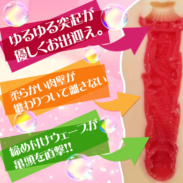 姉搾 内部構造