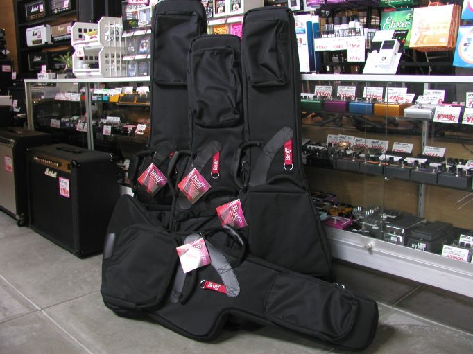 B.C. Rich Mockingbird モッキンバードケース付き B.C.Rich 2000's Mockingbird エレキギター Ritterギターケース