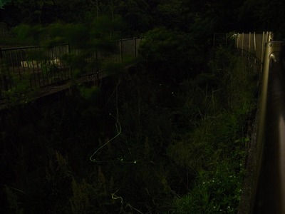 RES04324