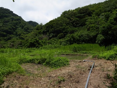 RES05407