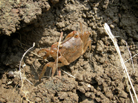 DSCN10530341
