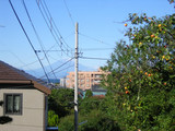 102301fujisan