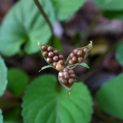 R0081791